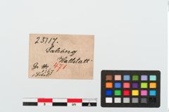 Etiketten zu Bronzekniefibel (NHMW-PRAE-025117)